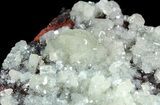Gemmy, Blue-Green Adamite Crystals - Durango, Mexico #45688-1